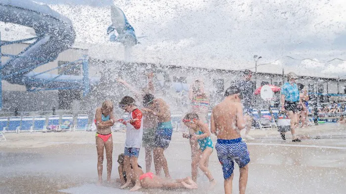 Dolphins Cove 8