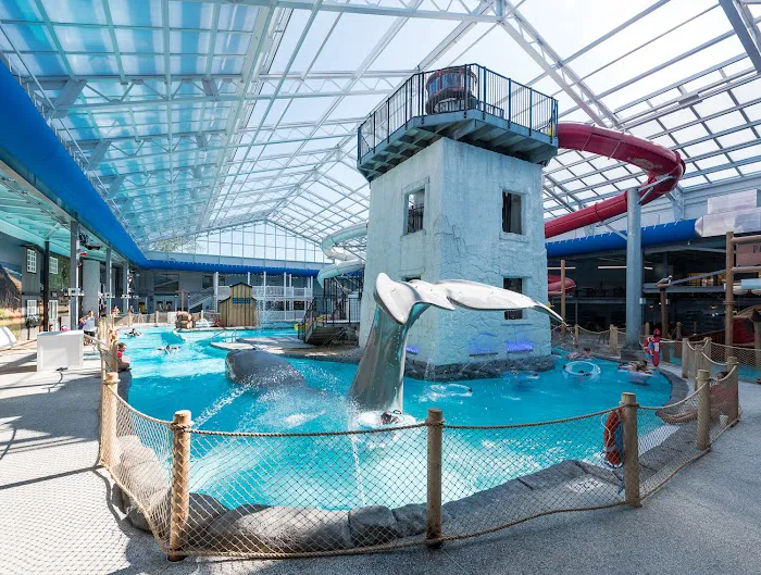 Fins Up! Water Park 3