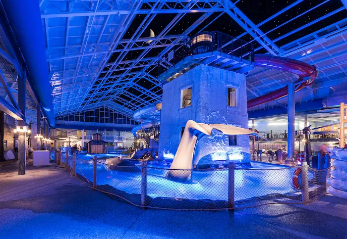 Fins Up! Water Park 2