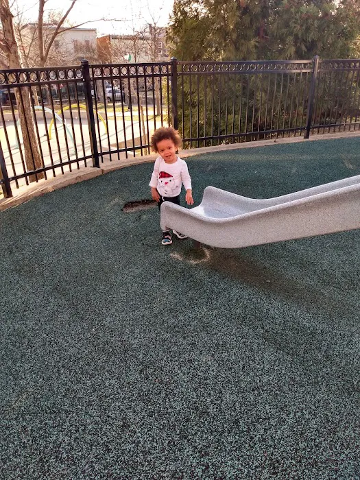 Cole Spray Park 8