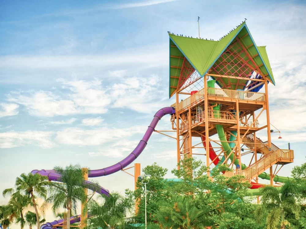 Best Water Parks for Large Group Events in the USA