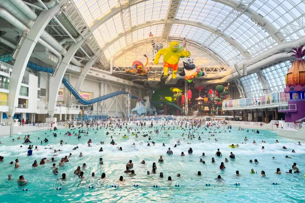 How to Choose the Best Water Park for Family Fun in the USA