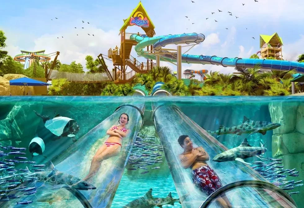 Best Water Parks with Hidden Slides and Water Features