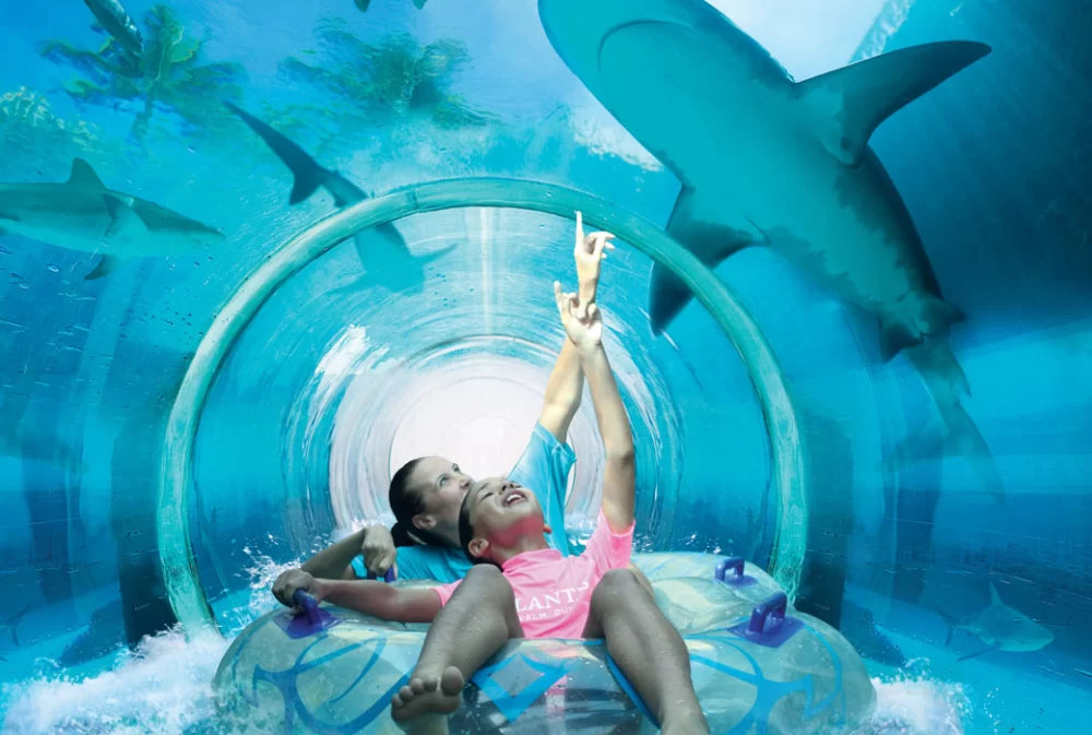 Discover the Thrill of Water Parks with Extreme Body Slides and Funnels