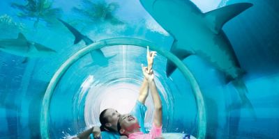 Discover the Thrill of Water Parks with Extreme Body Slides and Funnels