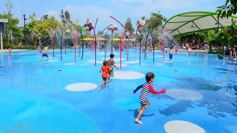 Discover Family-Friendly Water Parks with Shaded Picnic Areas and Playgrounds