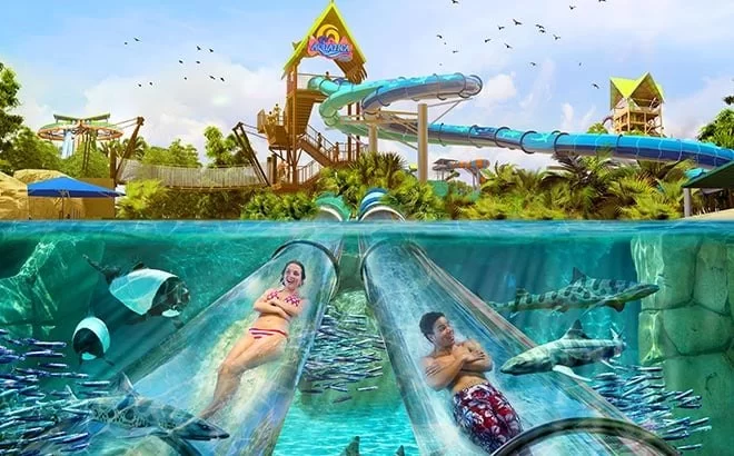 Best Water Parks with Interactive Touch Pools and Marine Life Exhibits