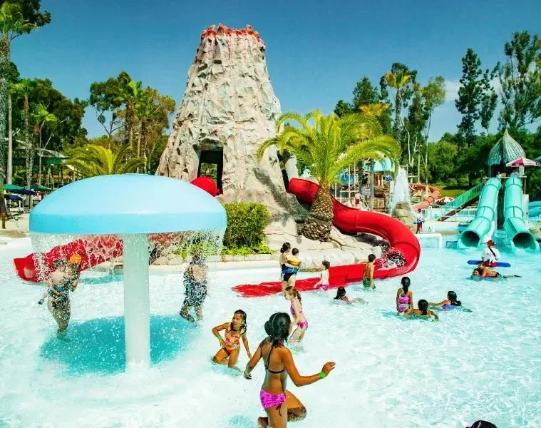 Best Water Parks with Large Picnic and BBQ Areas for the Perfect Day Out